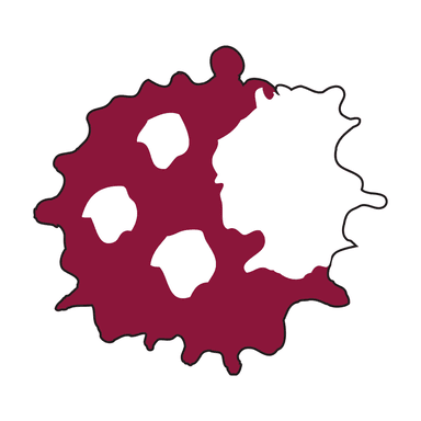 Robin Pest Control Logo