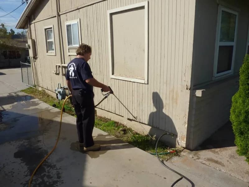 Benefits of Professional Termite Control