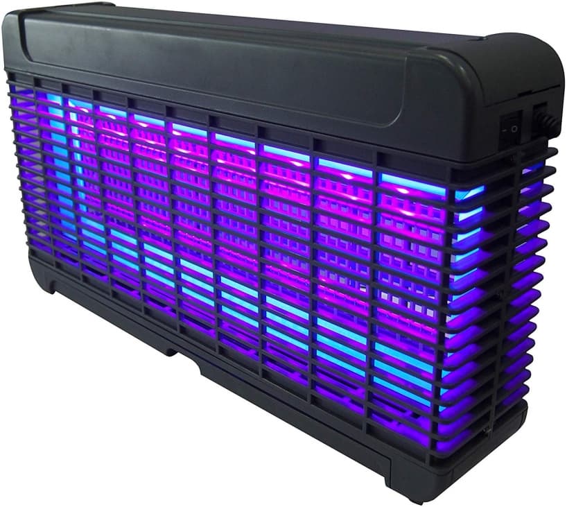 Fly Trap Installation